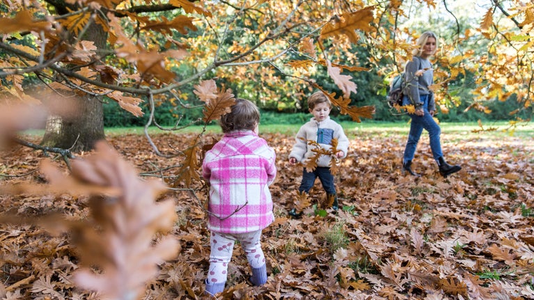 Family playing in oak leaves in the park at Rufford Old Hall Lancashire